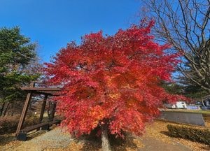 [오늘 날씨] 경기·인천(21일, 금)...일교차 크고, 대기 건조