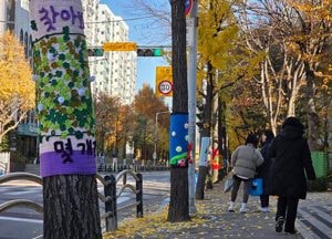광명 하담길 가로수에 ‘뜨개옷’…따뜻한 거리 풍경