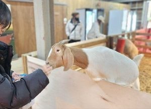 연천군가족센터, 취약·위기가족 지원 ‘FUN FUN 가족캠프’ 성공적 마무리