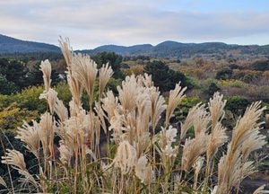 [내일 날씨] 새벽 안개·살얼음…낮 11℃ 안팎 맑아져