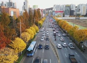 미추홀구, 인천시 ‘특색 가로수길 평가’ 종합 1위…경원대로 관리 성과 두드러져