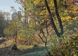 용인특례시, 수지구 죽전동에 ‘도시 숲’ 조성...시민 휴식공간 확대