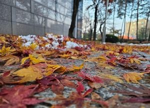 [내일 날씨] 아침 춥고, 밤부터 경기북부 비