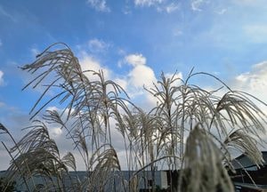 [오늘 날씨] 경기·인천(2일, 화)...기온 크게 떨어져 추워