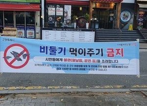 고양특례시, 내년부터 비둘기 등 유해야생동물 먹이주기 금지 “도심 피해 줄인다”