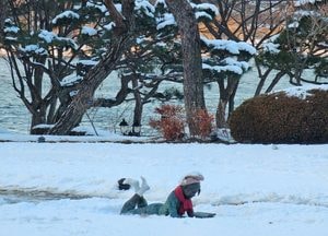 [내일 날씨] 오후부터 비·눈…아침 -14℃ 강추위 속 한파주의보 계속