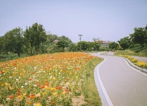 오산시, 오산천 따라 쉬어가는 공간 늘어난다...도심 속 휴식공간으로 브랜드 강화