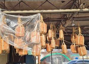 [오늘 날씨] 경기·인천(8일, 월)...종일 맑고, 아침 쌀쌀