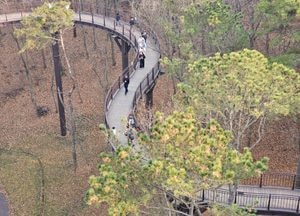 금광호수 하늘전망대, S자 하늘길 따라 걷는 사람들