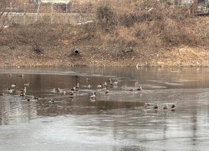[내일 날씨] 아침 큰 추위, 맑다가 오후부터 구름