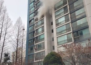 일산 아파트 8층 불…2명 연기흡입, 17명 대피