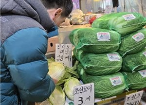 김장철 배추김치 원산지 둔갑 142개소 146건 적발…일반음식점에 집중