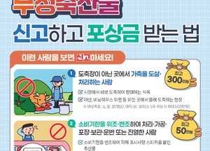 염소고기 취급업체 9곳 위반 적발…도내 4곳 포함