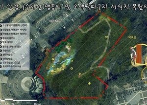 안양시, 병목안시민공원 맹꽁이·오색딱따구리 서식처 복원한다
