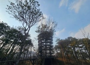 [오늘 날씨] 경기·인천(16일, 화)...흐리고 비, 미세먼지 오후 ‘나쁨’