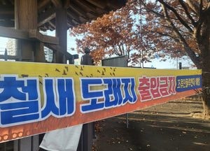 안성 산란계 농장서 H5형 AI 항원 확인…24시간 이동중지 명령