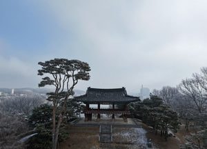 [오늘 날씨] 경기·인천(17일, 수)...오전 짙은 안개, 차차 맑아져
