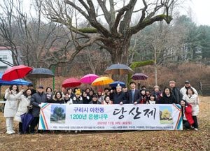 구리 아천동 1200년 은행나무 당산제 봉행…천연기념물 지정 염원 담아