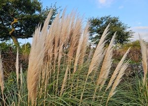[내일 날씨] 새벽 안개, 출근길 주의…낮 기온 10도 웃돌아 포근