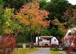 [특집] ‘청량산 수원캠핑장’ 객실 이용률 90% 넘고, 주변 상인들 “손님 늘어 좋아요”