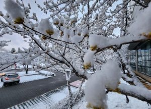 [기상청 특보] 경기북부 대설주의보…퇴근길 교통 불편·안전사고 주의