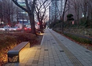 인천 남동구, 구월남로 벚꽃길 새 단장…일상 쉼터로 재탄생