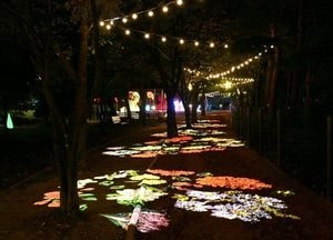 구리시 ‘2025 구리 빛 축제’ 연말까지 연장 운영...장자호수공원 야간 경관 선보여