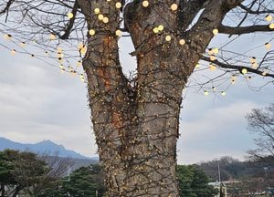 [오늘 날씨] 경기·인천(28일, 일)…오후부터 비·눈, 경기북동부 최대 3㎝ 적설