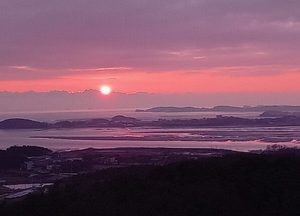경기도, 서해안 일몰 명소 ‘안산 바다향기수목원’ 연말 볼거리 풍성