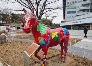[사진으로 봤다] 붉은 말의 해, 말의 의미를 다시 만나다