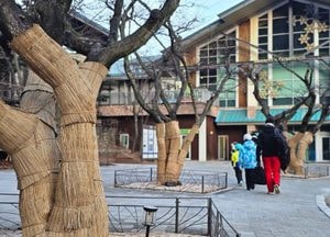 [다음주 날씨] 대체로 맑고 큰 추위 없어…아침은 영하권