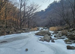 [오늘 날씨] 경기·인천(9일, 금)…낮엔 눈 날림, 밤엔 경기북동부 비·눈