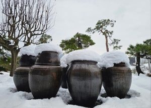 [내일 날씨] 수도권 비·눈에 강풍 동반…경기동부 최대 8cm, 모레 기온 급락