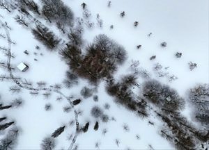 [오늘 날씨] 경기·인천(10일, 토)…곳곳 눈 쌓여, 오후까지 비·눈