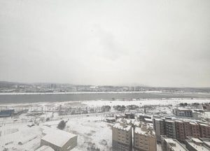 [오늘 날씨] 경기·인천(12일, 월)…출근길 눈 날림, 낮부터 전역으로 눈 확대