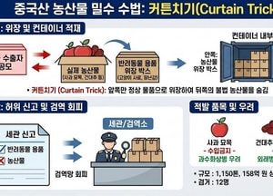 역대 최대 규모 중국산 농산물 불법 수입 적발…1150톤·158억원 상당
