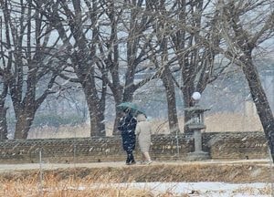 눈 내리는 두물머리, 우산 쓴 연인의 오후