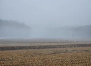 [내일 날씨] 오전까지 짙은 안개...인천·경기 가시거리 200m 미만