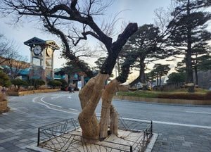 [오늘 날씨] 경기·인천(16일, 금)…안개 끼고 공기 탁해, 낮엔 맑음