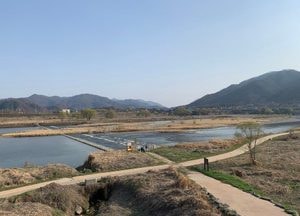경기도, 한탄강 수계 37곳 수질검사 매월 실시…포천·양주 등 4개 시·군 공동 조사