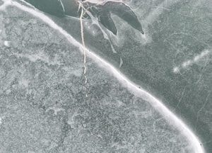 [드본세] 겨울 한파가 그린 본오저수지 얼음 지도