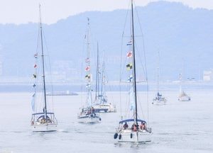 화성 뱃놀이 축제, 2026~2027 문화관광축제 2회 연속 선정