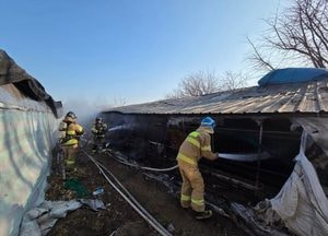 여주 가남읍 돈사서 불…자돈 2마리 폐사·50평 소실