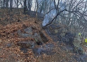 파주 연풍리 임야서 불…80대 남성 1명 화상
