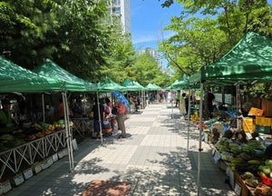 안성시, 2026년 농업인 직거래장터 참여 농가 모집...오는 4월11일 개장 목표
