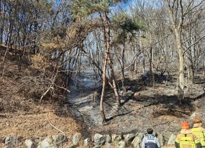 양평 청운면서 산불…임야 0.45ha 소실