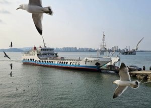 [기획] 이번 설날 연휴, 바다를 건너지 않아도 여행은 된다