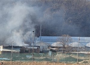 하남 감북동 비닐하우스서 화재…염소 5마리 폐사