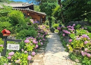 남양주시, 대가농원·흙과나무 ‘농진청 우수 치유농업시설 인증’ 취득
