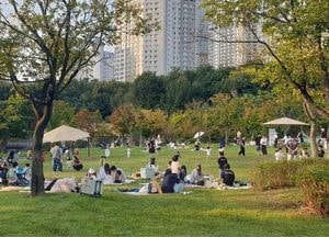 수원특례시, 4개 도시공원 ‘피크닉존’ 지정...한시적으로 그늘막 설치 허용